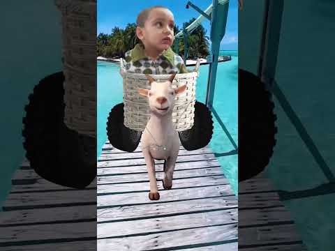 cute baby ride on cute baby goat || funny goat🐐#shorts