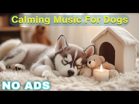 12 Hours of Healing Music for Dogs 🦮 Dog Relaxing Music for Stress Relief 🐶 Dog Anxiety Music💖No Ads