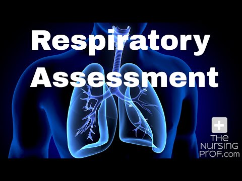 Respiratory Anatomy