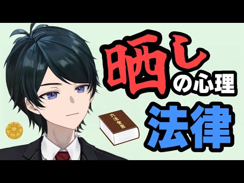 【 #法律解説 】晒しの心理と法律　正義感？断罪？注意喚起？晒し行為は法律違反になる？【 #弁護士Vながのりょう】#弁護士