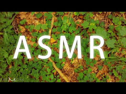 ASMR Forest Ground Walk | Crunching Leaves | Crackling Pine Needles