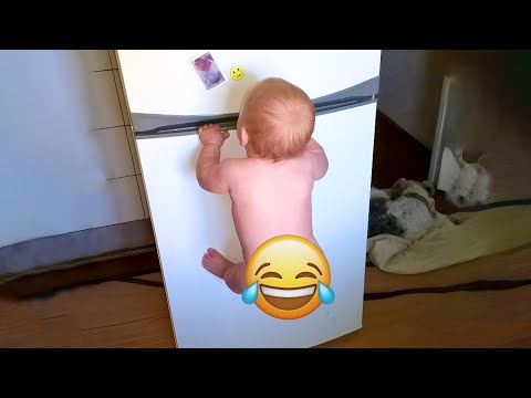 Funny Baby Videos - The Ultimate Try Not To Laugh Challenge