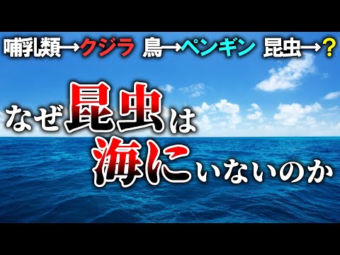 【100年未解決】海に昆虫が1匹もいない理由【ゆっくり解説】【雑学】