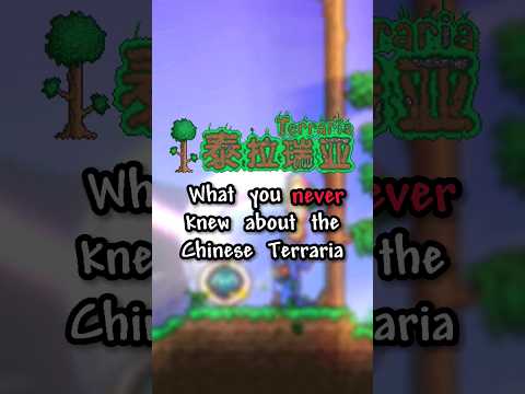 What you NEVER knew about the Chinese Terraria