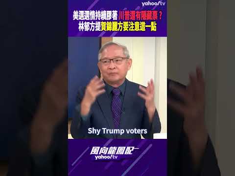 美選選情持續膠著 川普還有隱藏票？林郁方提賀錦麗方要注意「這一點」【風向龍鳳配精彩回顧】