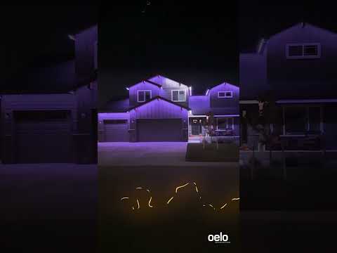 Give Your Holiday Lighting a Jolt with OELO Lighting Solutions!