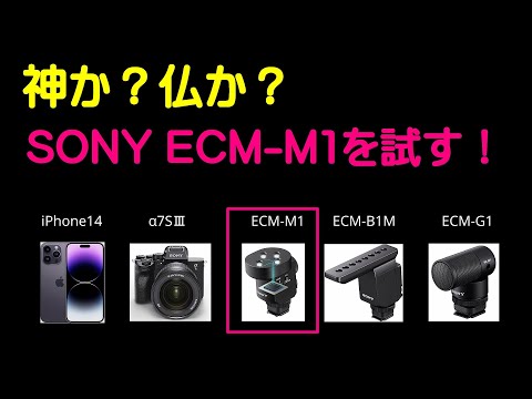 神か？仏か？ 新マイク SONY ECM-M1 を試す！ / SONY α7SⅢ