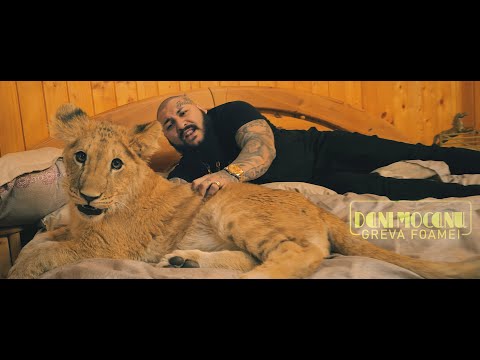 Dani Mocanu 🦁 Greva foamei 🌹Official Video