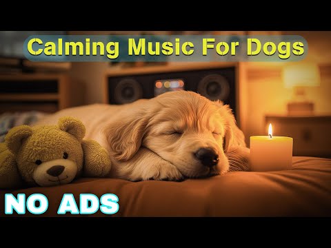 12 Hours of Healing Dog Music 🐶 Soothing Music for Deep Relaxation 🐕 Anti - Anxiety Videos No Ads