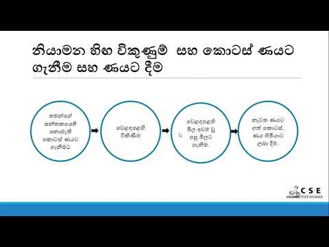 නියාමනය කරන ලද හිඟ විකුණුම් සහ කොටස් ණයට ගැනීම් සහ ණයට දීම.