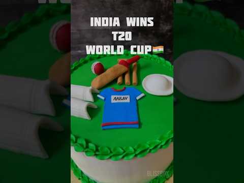 INDIA WINS T20 WORLD CUP| INDIA WONS WORLD CUP| INDIA WIN | WORLD CUP #t20worldcup #cricket #shorts