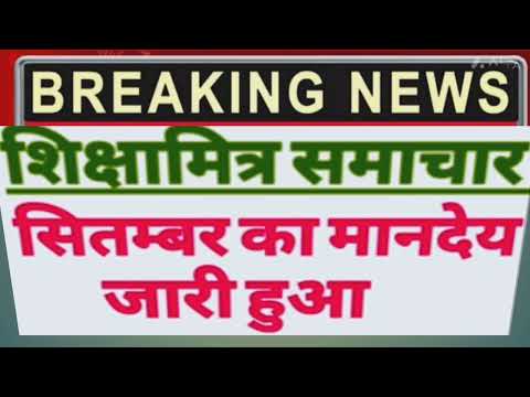 शिक्षामित्र ताजा खबर आज/all TET pass all CTET pass shikshamitra breaking news shikshamitra  news