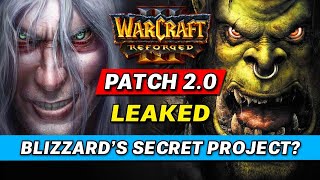 Massive Blizzard LEAK! Big Update for Warcraft III coming?