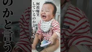 [Twins] My brother laughs harder than I expected #shorts #Smile