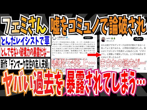 【デンマーク出羽守】フェミさん、デンマークを絶賛するもコミュノで論破され炎上➡︎更にヤバい過去を暴露されてしまう…【ゆっくり 時事ネタ ニュース】