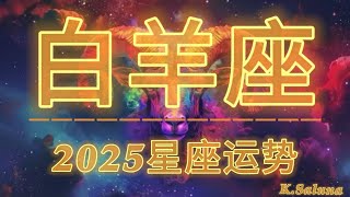 【K.Saluna】【2025年星座年运】2025年白羊座运势 | 参考日月升 ✨