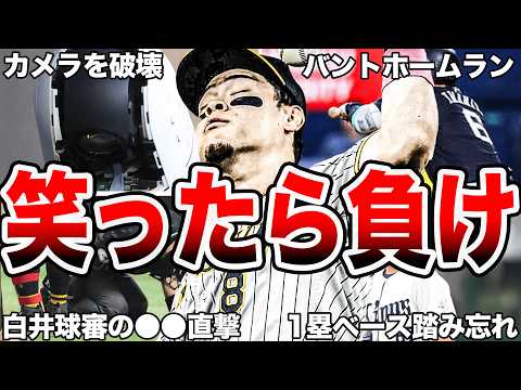 【腹筋崩壊】2024年に起きた珍プレー50連発【全部知っていたら凄い】