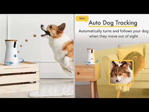 A Treat Tossing Machine! Furbo 360 Dog Camera