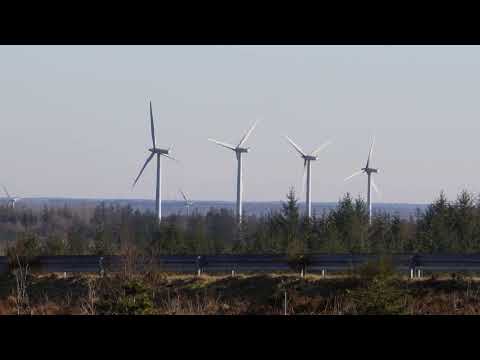 "Trehøje", Western Jutland, Denmark on a bright day in March