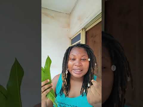 Spiritual uses of mango leaves and nutmeg and health benefits tooJoin me and share this video