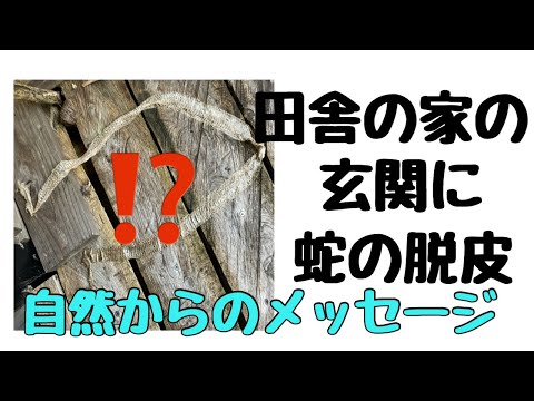 [タロット占い]春から夏にかけて廻りの自然の変化について占いました。