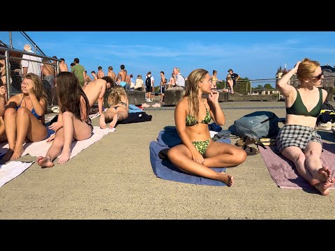 One Hot Day At Kalvebod Brygge Harbor Beach🇩🇰Copenhagen Denmark, 4K Crowded Beach, Summer 2024