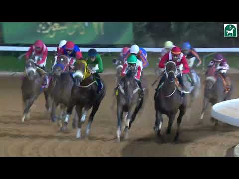 RIYADH RACING SEASON MEETING NO 53 RACE NO 12