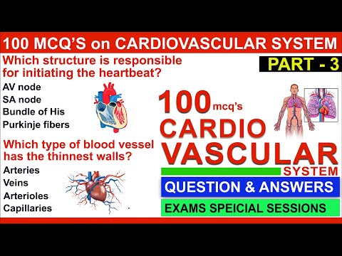 100 mcqs on cardiovascular system part 3 | cardiovascular system mcqs with answers | right ventricle