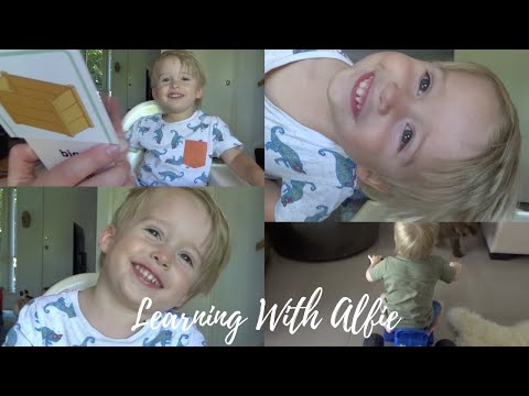 LEARNING WITH ALFIE | Alfie's Adventures