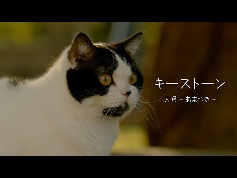 キーストーン ／ 天月-あまつき-  [Promotion Video]