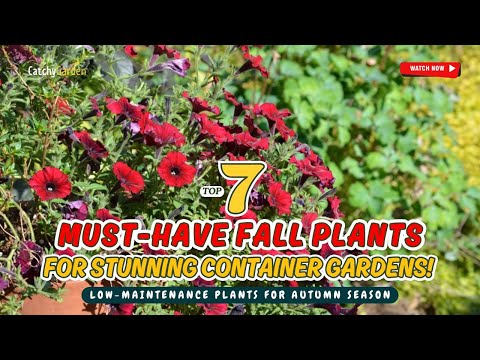 TOP 7 MUST-HAVE FALL PLANTS for STUNNING Container Gardens! 🍁🌿🍂 // Gardening Ideas