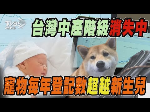 台灣中產階級消失中 寵物每年登記數超越新生兒｜十點不一樣 20241112