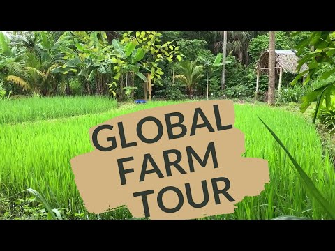 ECHO Global Farm | Florida Farm Tour