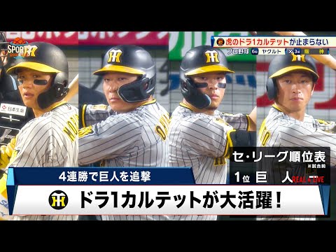 【阪神】逆転優勝へ望みをつなぐ4連勝！ ドラ1カルテットが大暴れ｜プロ野球 阪神 対 ヤクルト｜2024年9月6日