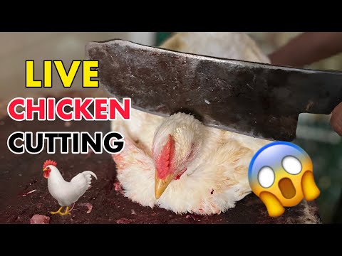 LIVE CHICKEN CUTTING SKILLS 🐓😱 poultry chicken Cutting | cutting skills | Siraj Chicken |