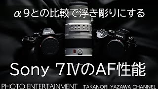 #412【機材紹介】Sony α7ⅣのAF性能をα9との比較で浮き彫りにする