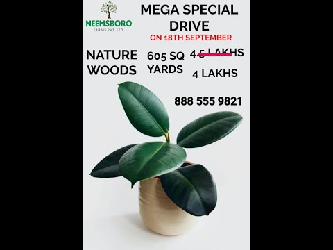 NATUREWOOD FARMS #LOWINVESTMENT #NEEMSBORO #MEGA #SALES