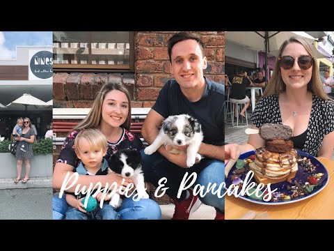 PUPPIES & PANCAKES | Alfie's Adventures