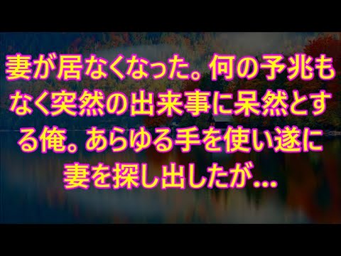 妻が居なくなった。何の予兆もなく突然の出来事に呆然とする俺。あらゆる手を使い遂に妻を探し出したが…