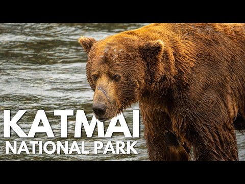 Katmai National Park - Camping with Bears, Flying over Volcanos & More