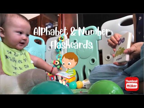 Circle Time (Alphabet & Number Flashcards) | 9months old