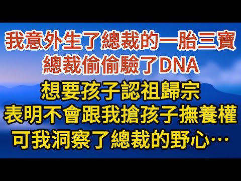 《生下三胎》 第03集：我意外生了總裁的一胎三寶，總裁偷偷驗了DNA，想要孩子認祖歸宗，表明不會跟我搶孩子撫養權，可我洞察了總裁的野心……#戀愛#婚姻#情感 #愛情#甜寵#故事#小說#霸總