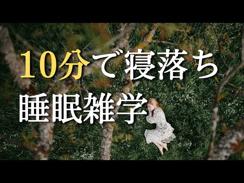 眠りにフィットする快眠雑学｜毎日の睡眠を楽しむ