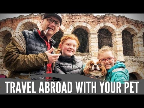 International Travel with a Pet