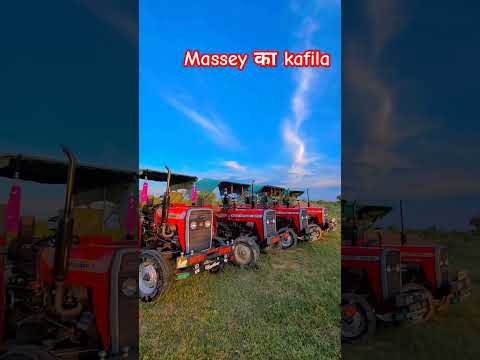 मैसी टेक्टरो का काफिला खेतो में #tractarlover #massey241 #farming