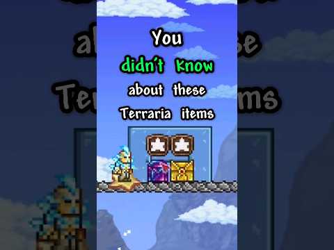 Terraria items you NEVER KNEW about