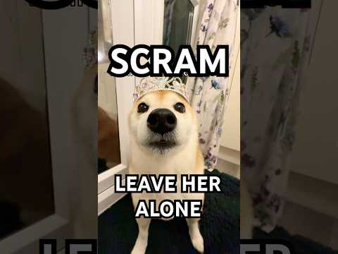 SCRAM! Leave her ALONE #memes