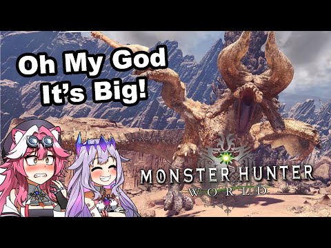 Biboo train Raora how to capture Monster Hunter, Wyvern |  『Hololive』