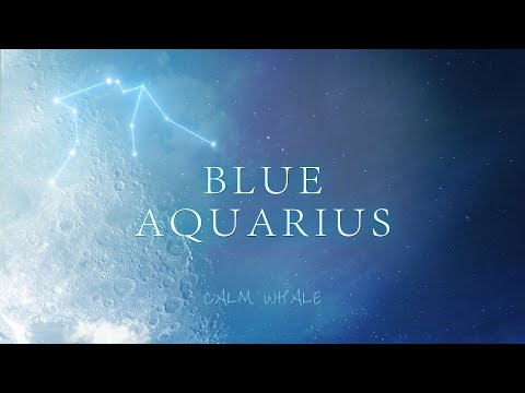 Blue Aquarius ♒  Handpan Journey | Free Yourselves | Calm Whale