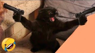 Funniest Animals 😄 New Funny Cats and Dogs Videos 😹🐶 - Ep.18